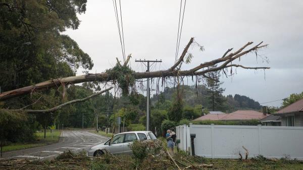 飓风加布里埃尔的后果:除了罗托鲁瓦和陶普的一些地方，其他地方都恢复了电力供应