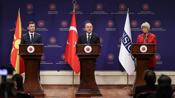 Türkiye敦促欧安组织改革，发展成员国在自然灾害方面的合作