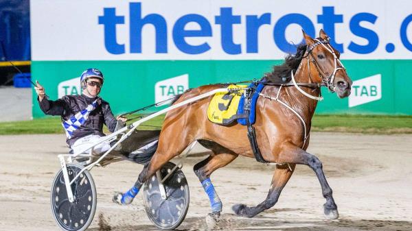 赛马:阿尔塔流星给予天堂送大理石在新南威尔士州德比在Menangle