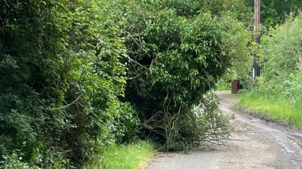 Manningtree附近的道路被树木堵塞，司机们受到警告