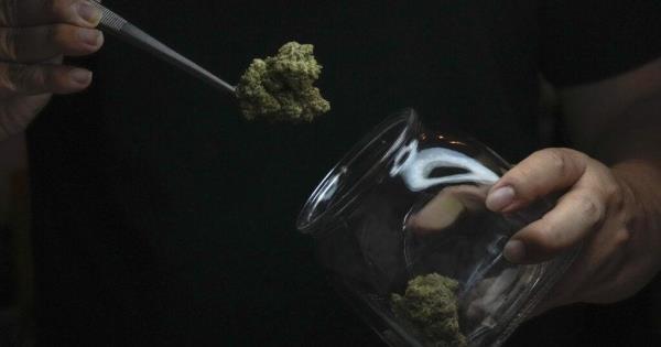 新的研究发现，老年人中大麻中毒的人数增加了两倍