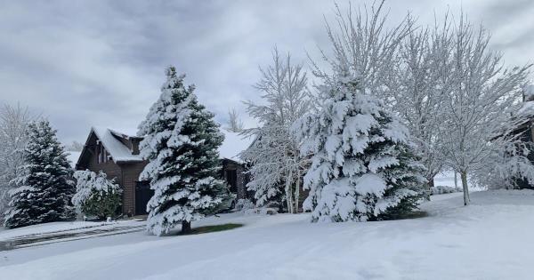 火腿谈幽默:用圣地亚哥的阳光换蒙大拿的雪